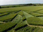 All Cannings, Wiltshire crop circle, aerial photo 35