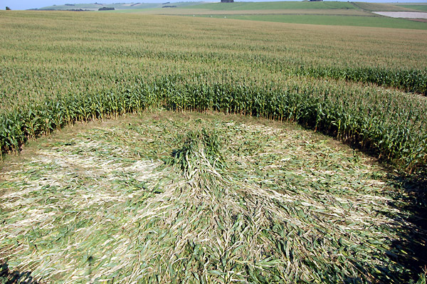 Avenue Stone Avenue (2), Wiltshire crop circle, aerial photo 8
