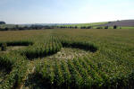 Avenue Stone Avenue (2), Wiltshire crop circle, aerial photo 11
