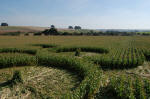 Avenue Stone Avenue (2), Wiltshire crop circle, aerial photo 12