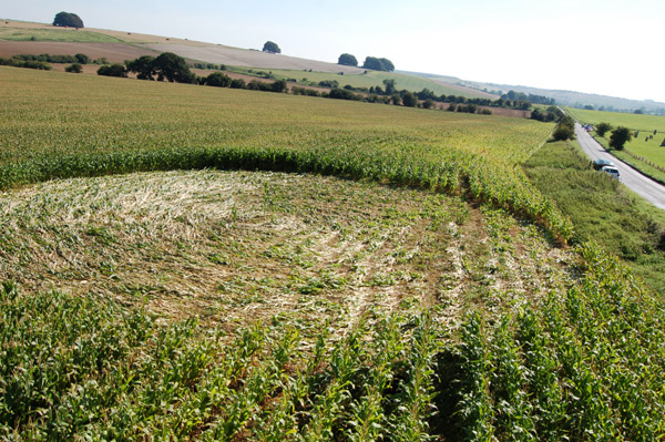 Avenue Stone Avenue (2), Wiltshire crop circle, aerial photo 6