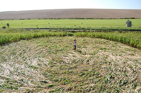 Avenue Stone Avenue (2), Wiltshire crop circle, aerial photo 7