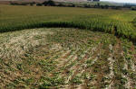 Avenue Stone Avenue (2), Wiltshire crop circle, aerial photo 9