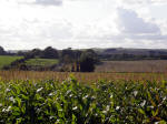 Avebury Down, Wiltshire crop circle, aerial photo 15