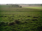 Avebury Down, Wiltshire crop circle, aerial photo 21