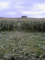 Avebury Down, Wiltshire crop circle, aerial photo 51