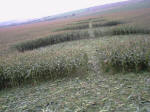 Avebury Down, Wiltshire crop circle, aerial photo 55