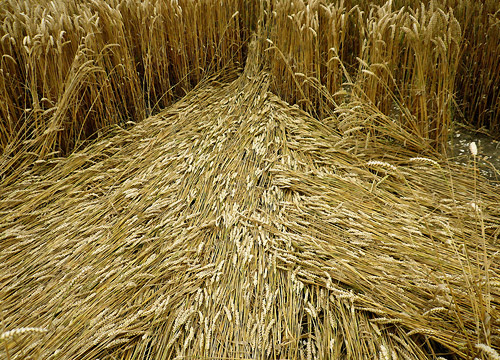 Avebury Manor, Wiltshire crop circle, aerial photo 15