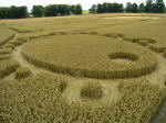 Avebury Manor, Wiltshire crop circle, aerial photo 7