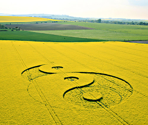 Avebury Stone Avenue, Wiltshire crop circle, aerial photo 9