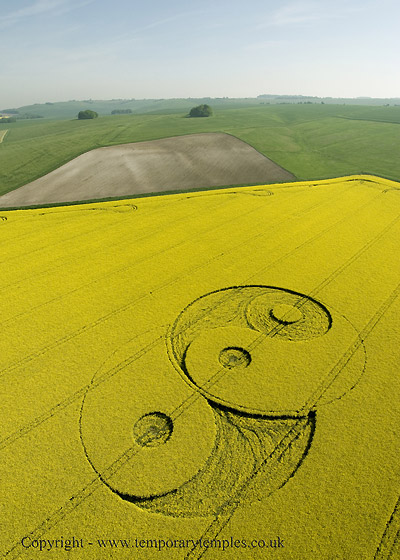 Avebury Stone Avenue, Wiltshire crop circle, aerial photo 11