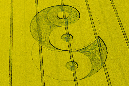 Avebury Stone Avenue, Wiltshire crop circle, aerial photo 7
