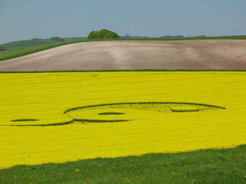 Avebury Stone Avenue, Wiltshire crop circle, aerial photo 13