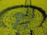 Avebury Stone Avenue, Wiltshire crop circle, aerial photo 16