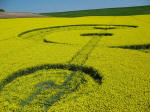 Avebury Stone Avenue, Wiltshire crop circle, aerial photo 15