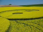 Avebury Stone Avenue, Wiltshire crop circle, aerial photo 18