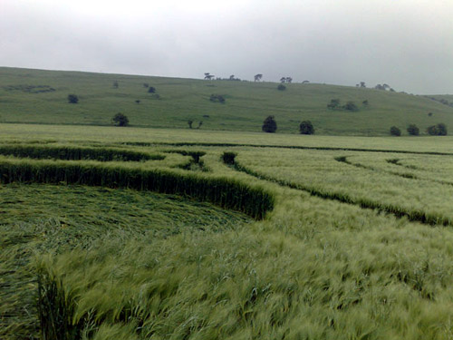 Barbury Castle, Wiltshire crop circle, aerial photo 39