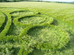 Barbury Castle, Wiltshire crop circle, aerial photo 8