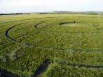 Barbury Castle, Wiltshire crop circle, aerial photo 6