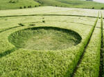 Barbury Castle, Wiltshire crop circle, aerial photo 13