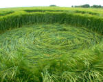 Barbury Castle, Wiltshire crop circle, aerial photo 33