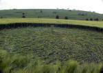 Barbury Castle, Wiltshire crop circle, aerial photo 35