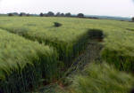 Barbury Castle, Wiltshire crop circle, aerial photo 37