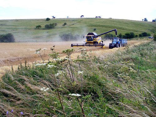 Barbury Castle, Wiltshire crop circle, aerial photo 56