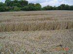 Barton Le Clay, Bedfordshire crop circle, aerial photo 30