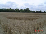Barton Le Clay, Bedfordshire crop circle, aerial photo 29