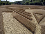 Barton Le Clay, Bedfordshire crop circle, aerial photo 8