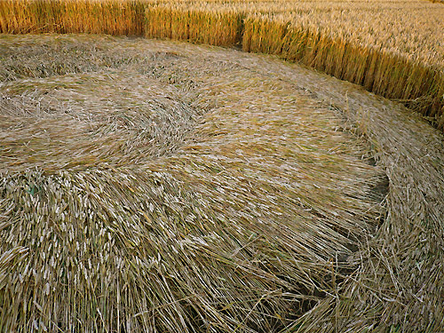 Beckhampton, Wiltshire crop circle, aerial photo 34