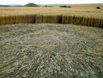 Beckhampton, Wiltshire crop circle, aerial photo 31