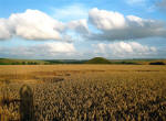 Beckhampton, Wiltshire crop circle, aerial photo 32