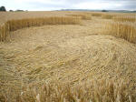 Beckhampton, Wiltshire crop circle, aerial photo 20