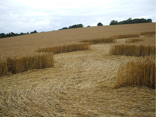 Beckhampton, Wiltshire crop circle, aerial photo 11
