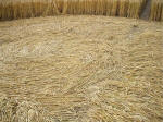 Beckhampton, Wiltshire crop circle, aerial photo 18