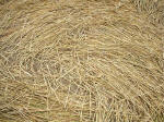 Beckhampton, Wiltshire crop circle, aerial photo 28