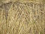 Beckhampton, Wiltshire crop circle, aerial photo 29