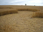 Beckhampton, Wiltshire crop circle, aerial photo 12