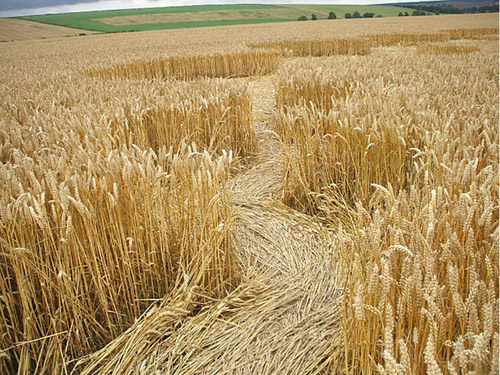 Beckhampton, Wiltshire crop circle, aerial photo 30