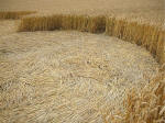 Beckhampton, Wiltshire crop circle, aerial photo 15