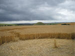 Beckhampton, Wiltshire crop circle, aerial photo 14