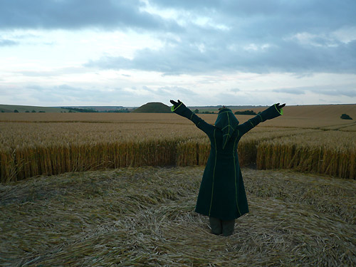 Beckhampton, Wiltshire crop circle, aerial photo 36