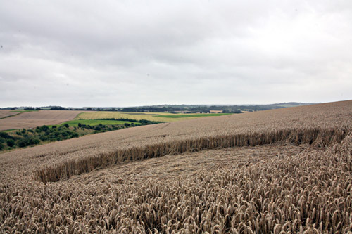 Cheesefoot Head, Hampshire crop circle, aerial photo 9