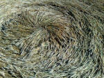 Cherhill, Wiltshire crop circle, aerial photo 46