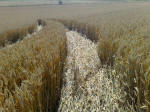 Cherhill, Wiltshire crop circle, aerial photo 47