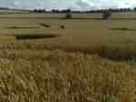 Cherhill, Wiltshire crop circle, aerial photo 41
