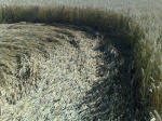 Cherhill, Wiltshire crop circle, aerial photo 44