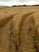 Cherhill, Wiltshire crop circle, aerial photo 24